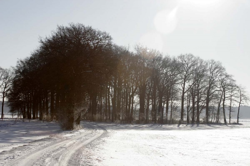 Datei:Felder im Winter - Nähe Kehner Weg.jpg